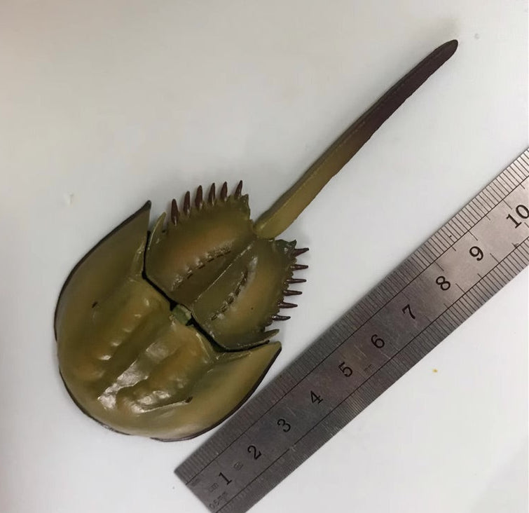 Japan Horseshoe crab animal PVC Action Figure Model with Joints
