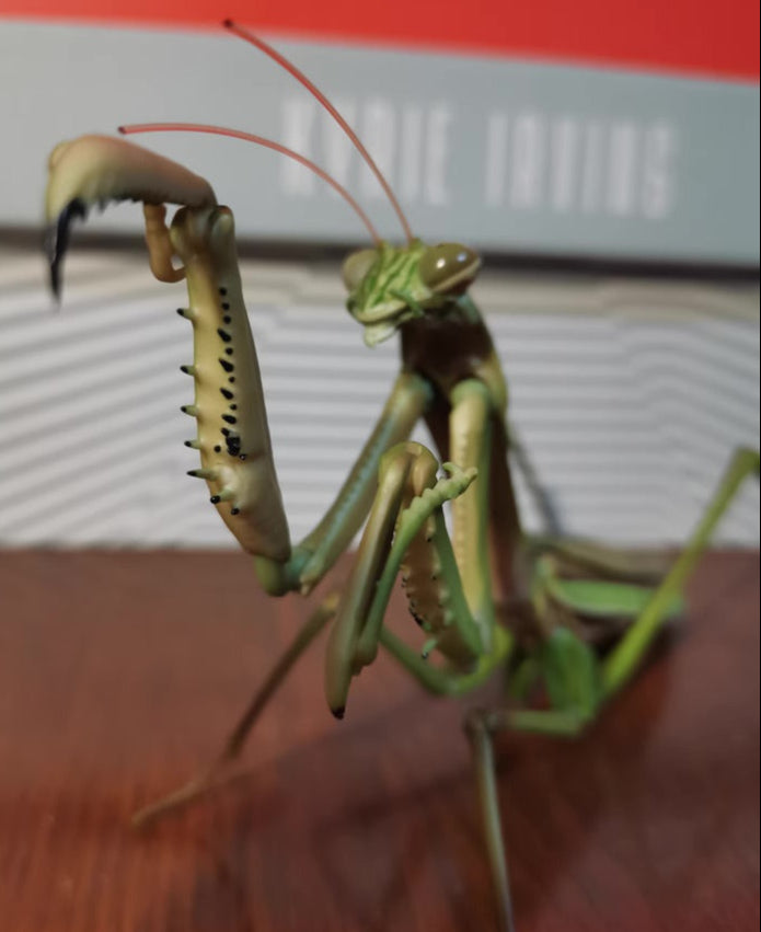 Japan Green Giant Asian mantis Adult insect (no wings) PVC Action Figure Model with 34 joints (Premium Exclusive ver.)