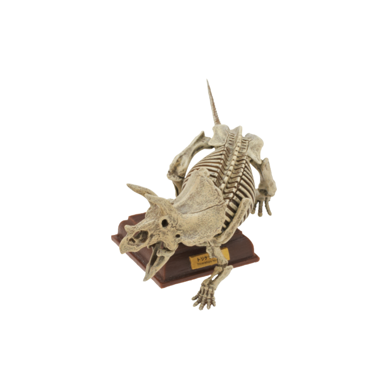 Japan Kitan Dinosaur Triceratops Skeleton Fossil (Yellow) PVC figurine figure model with base