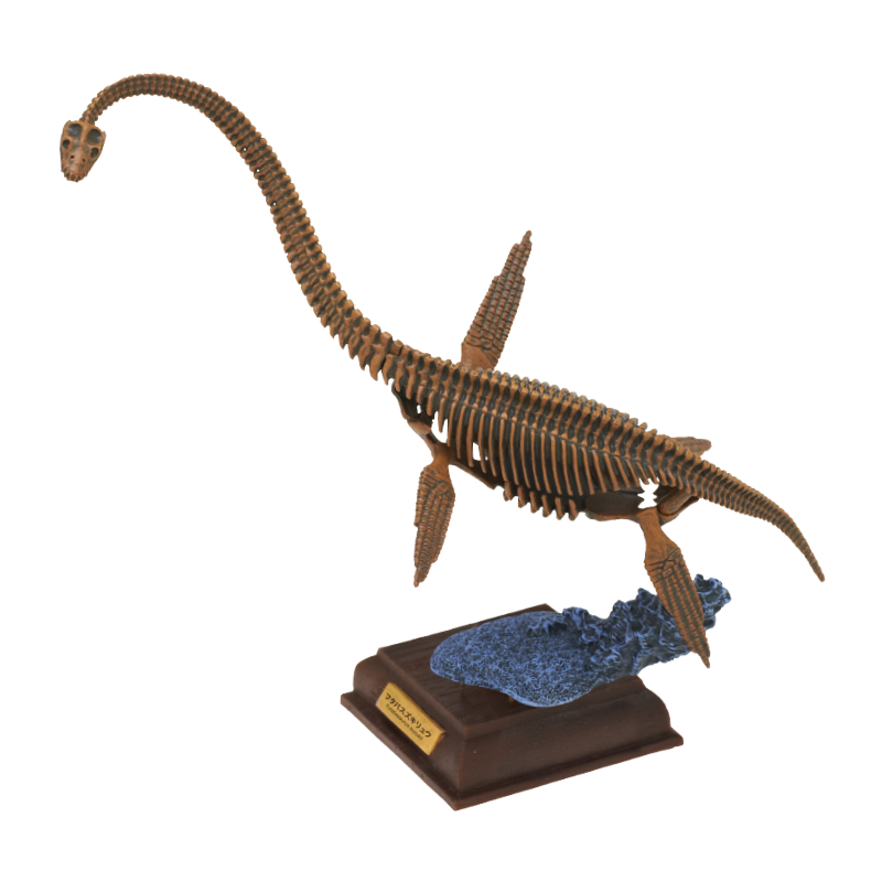 Japan Kitan Dinosaur Futabasaurus suzukii Skeleton Fossil (Brown) PVC figurine figure model with base