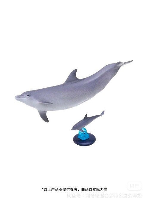Japan Common bottlenose dolphin PVC mini capsule figure model figurine