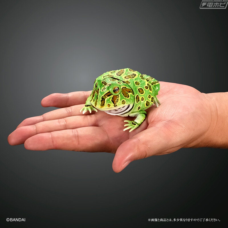 Argentine horned frog (Green) PVC figurine Figure model with joints