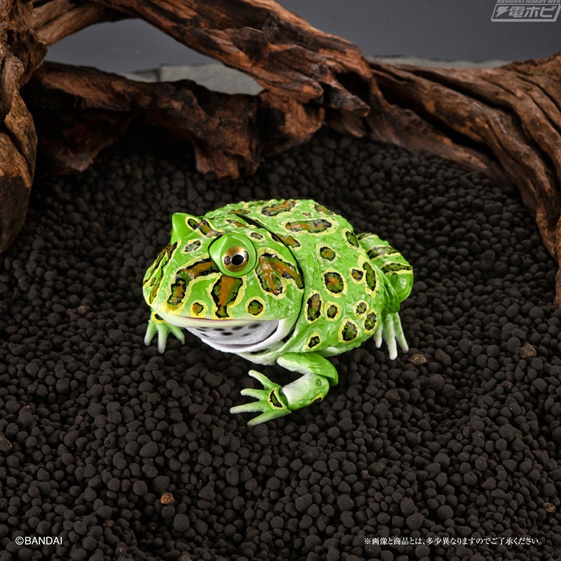 Argentine horned frog (Green) PVC figurine Figure model with joints