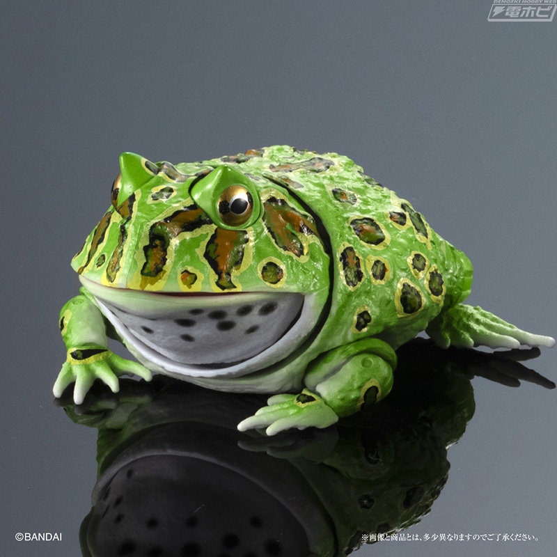 Argentine horned frog (Green) PVC figurine Figure model with joints