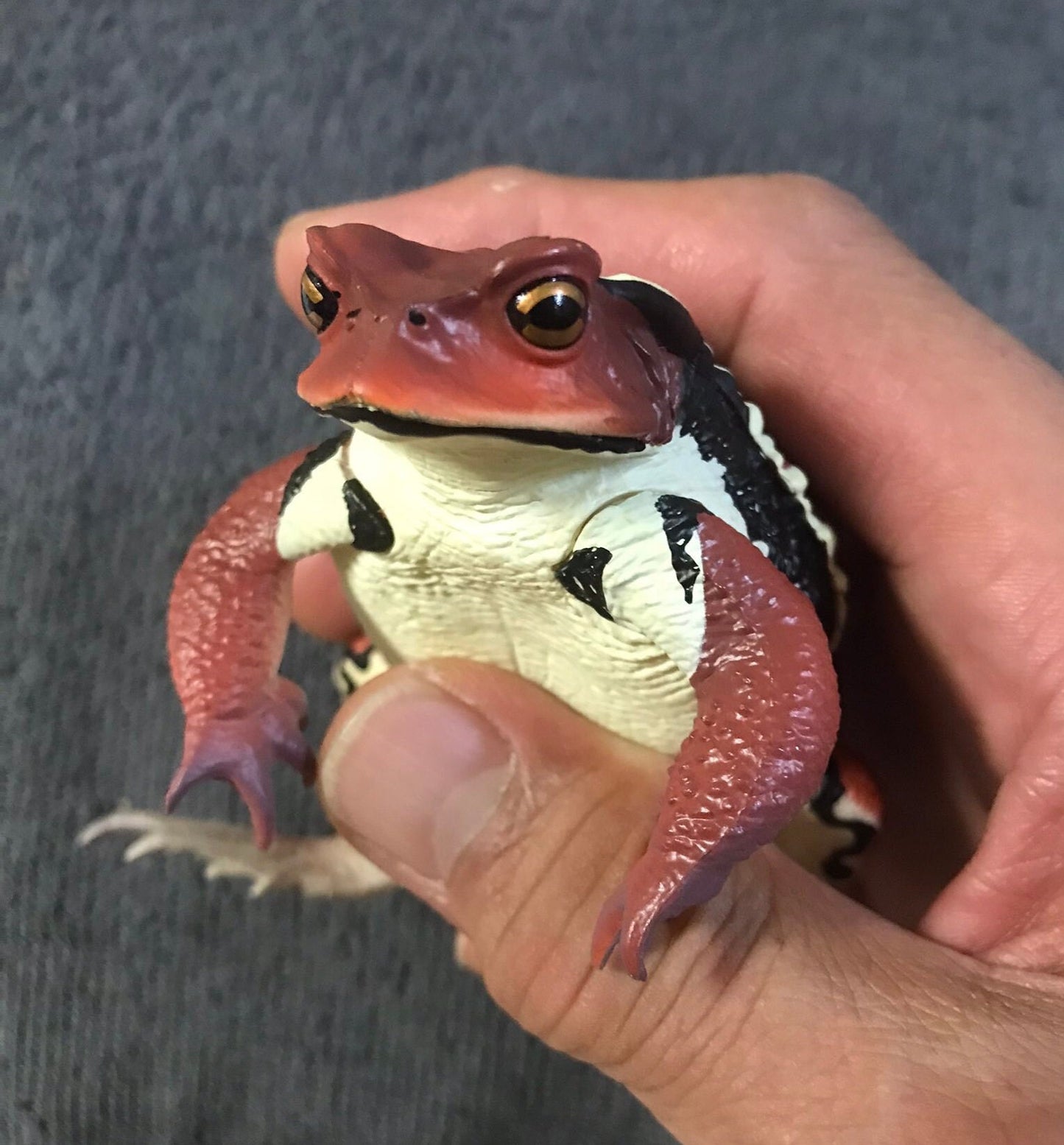 Japan Japanese common toad Frog Toad PVC Figure Model Figurine 12cm (RED)