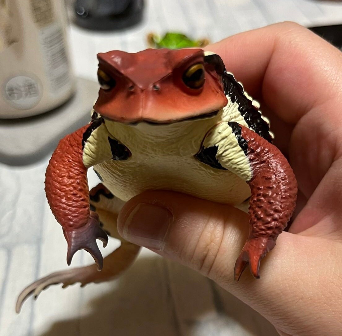 Japan Japanese common toad Frog Toad PVC Figure Model Figurine 12cm (RED)