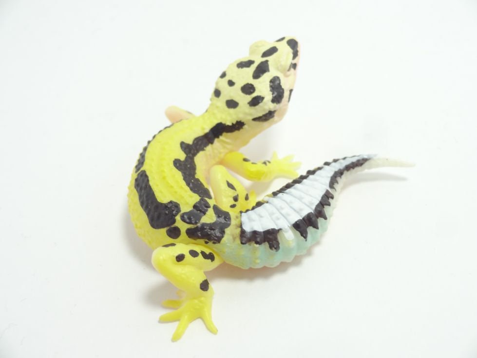 Japan bold stripe Leopard gecko lizard PVC mini Figure model figurine