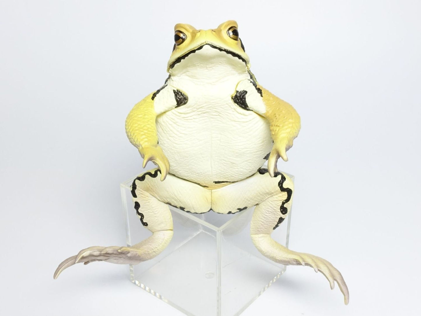 Japan Japanese common toad Frog Toad PVC Figure Model Figurine 12cm (Yellow)