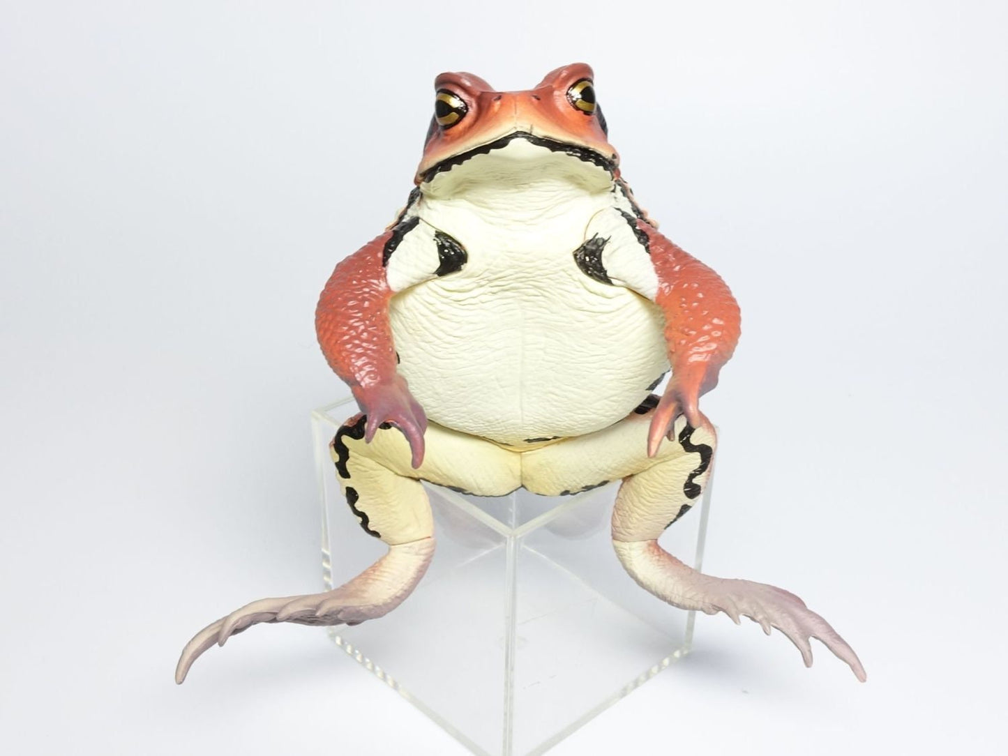 Japan Japanese common toad Frog Toad PVC Figure Model Figurine 12cm (RED)