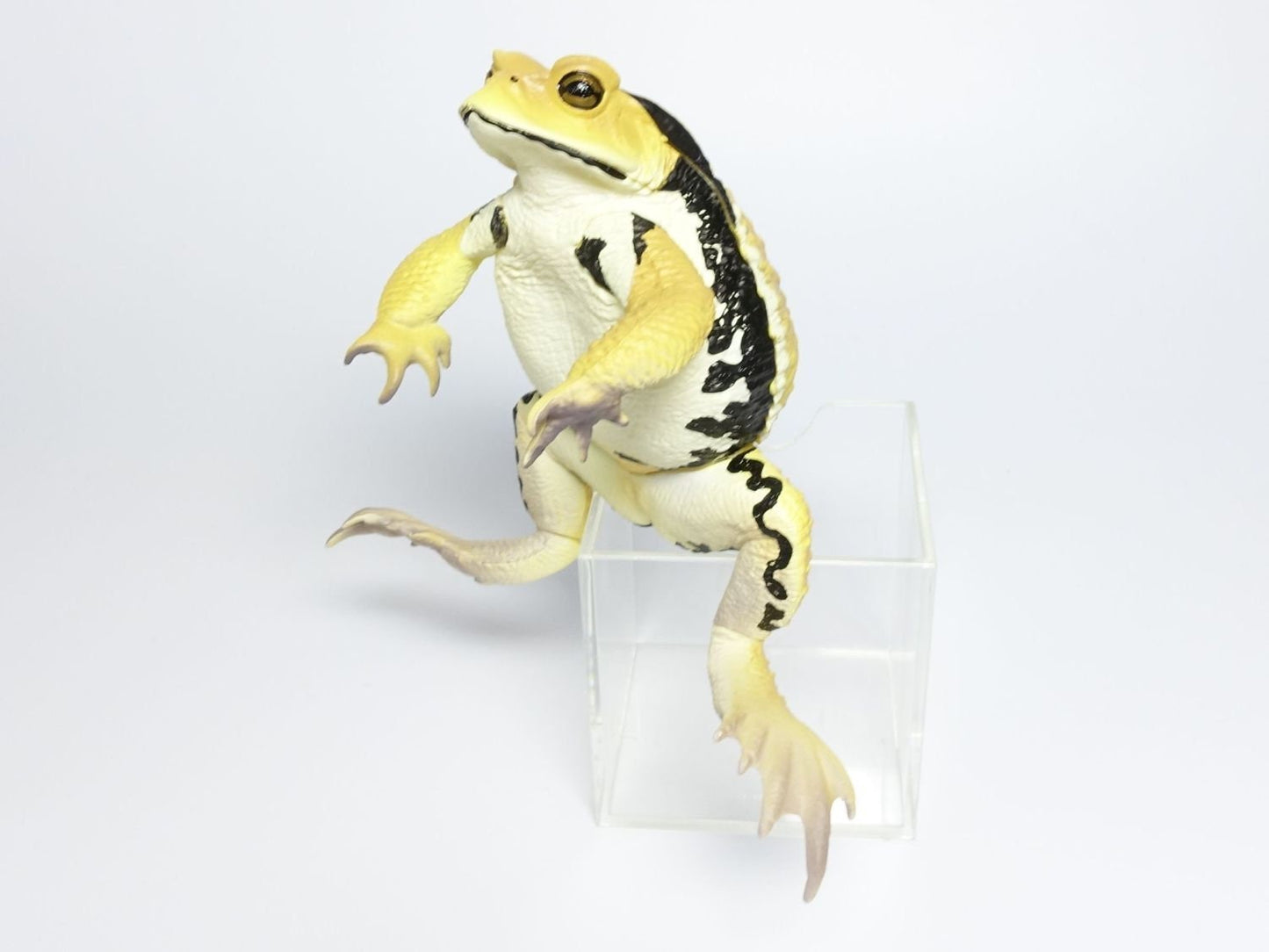 Japan Japanese common toad Frog Toad PVC Figure Model Figurine 12cm (Yellow)