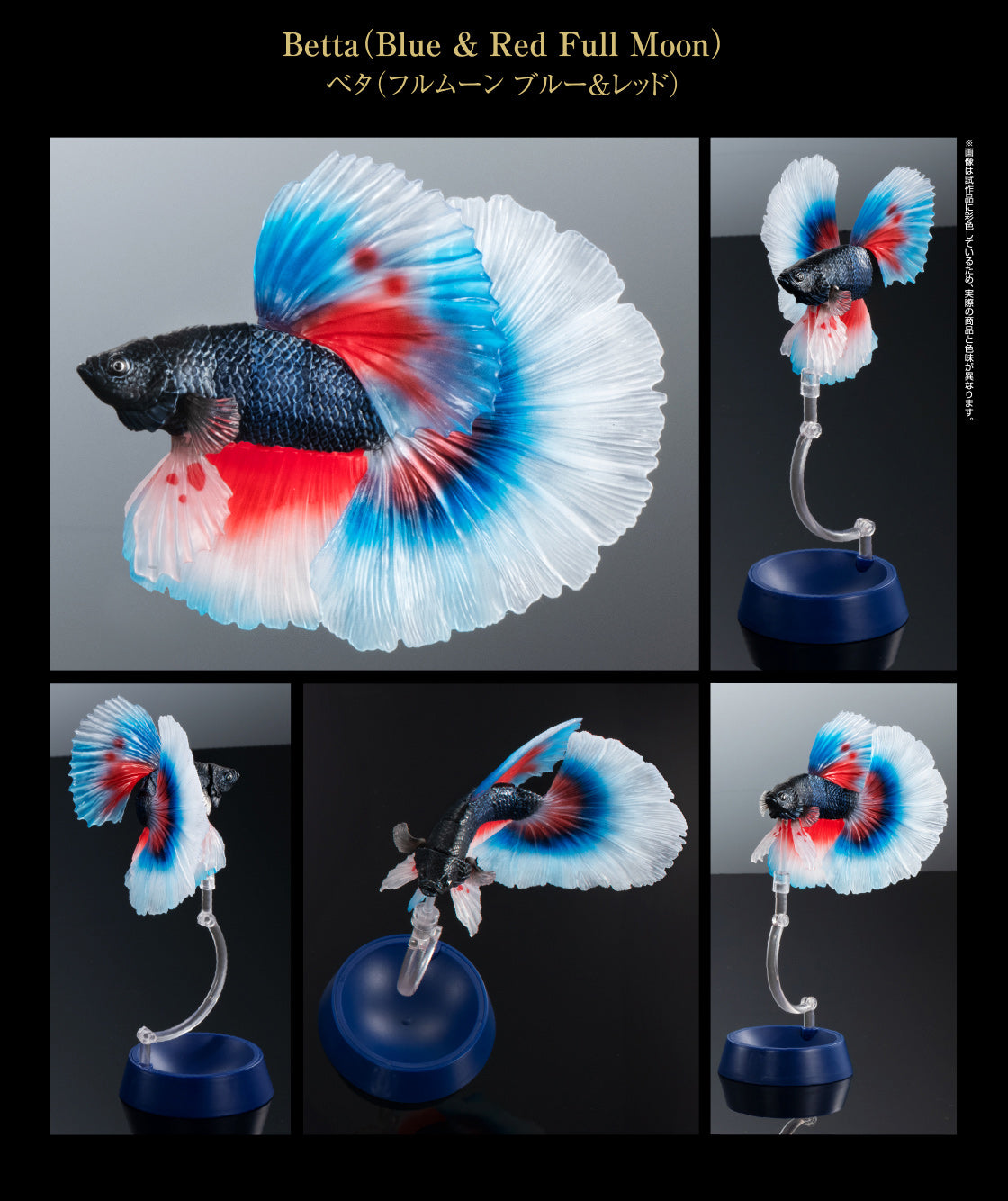 Siamese fighting fish betta fish PVC mini action figure model figurine with joints (BLUE/RED)
