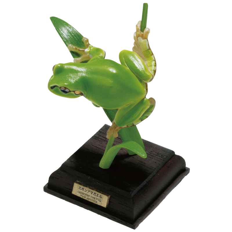 Kitan Club Nature Techni Color Japanese Tree Frog PVC mini capsule figure model figurine with base