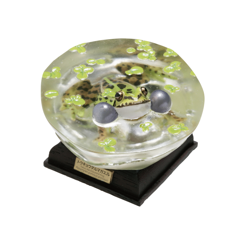 Kitan Club Nature Techni Color Tokyo daruma pond frog PVC mini capsule figure model figurine with base SP item