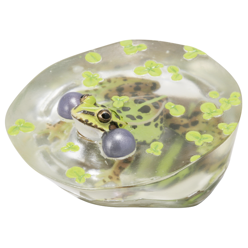 Kitan Club Nature Techni Color Tokyo daruma pond frog PVC mini capsule figure model figurine with base SP item