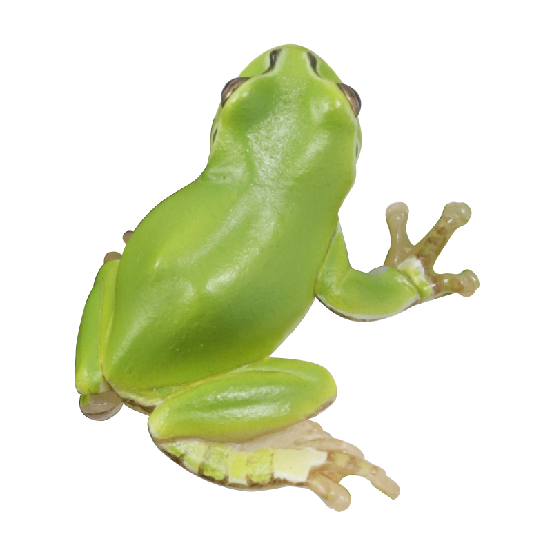 Kitan Club Nature Techni Color Japanese Tree Frog PVC mini capsule figure model figurine with base