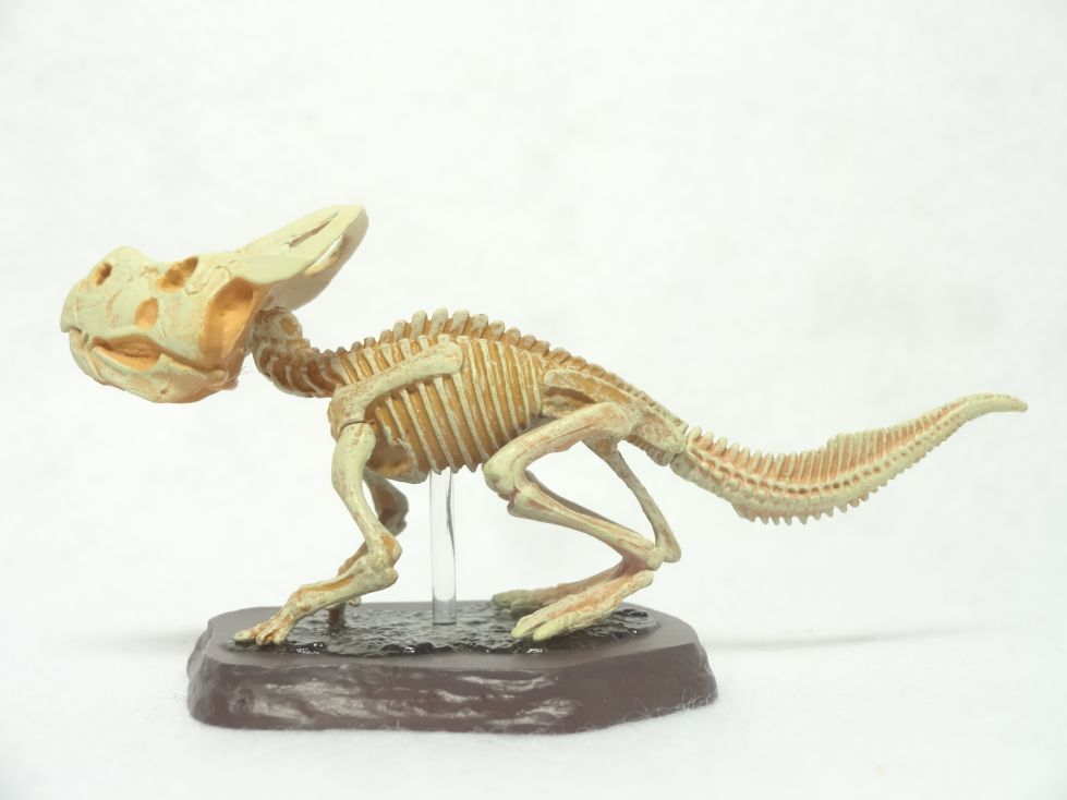 Retired Kaiyodo Choco Q Fossil Protoceratops Skeleton (2018) Dinosaur PVC mini figure model RARE