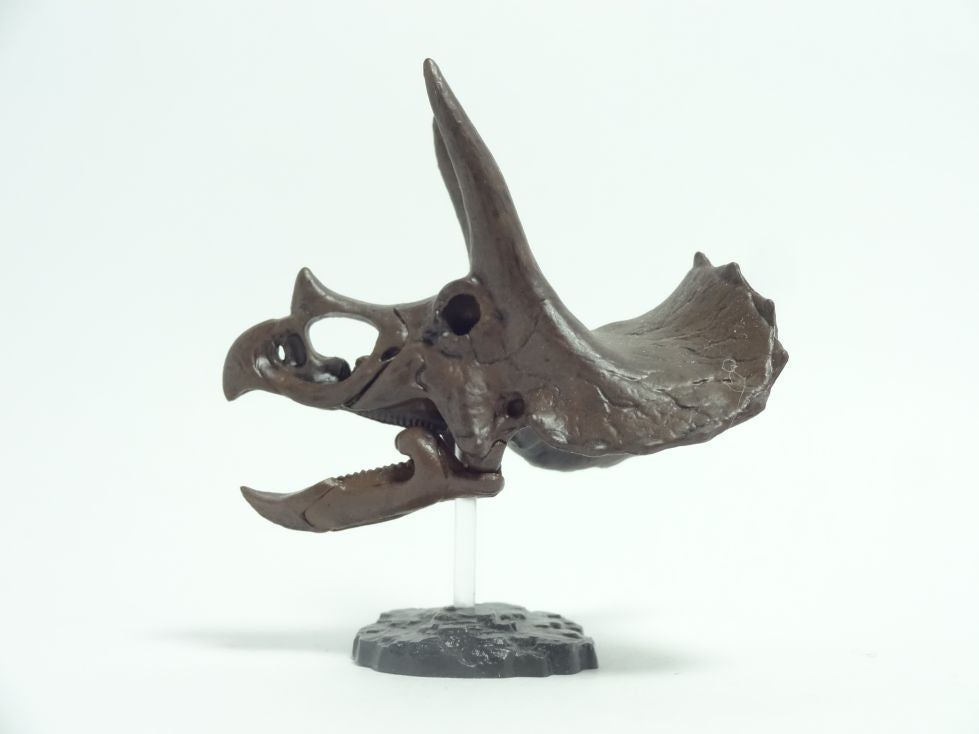 Retired Kaiyodo Triceratops Skull Dinosaur PVC mini figure model RARE