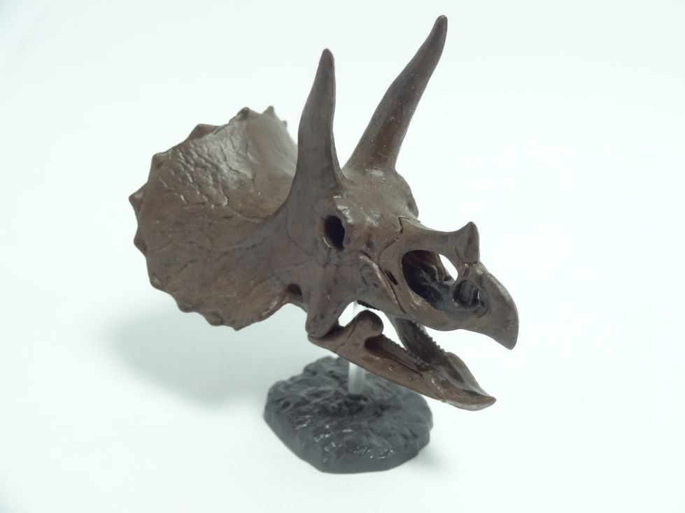 Retired Kaiyodo Triceratops Skull Dinosaur PVC mini figure model RARE