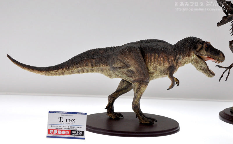 Dinosaur Models Figurines