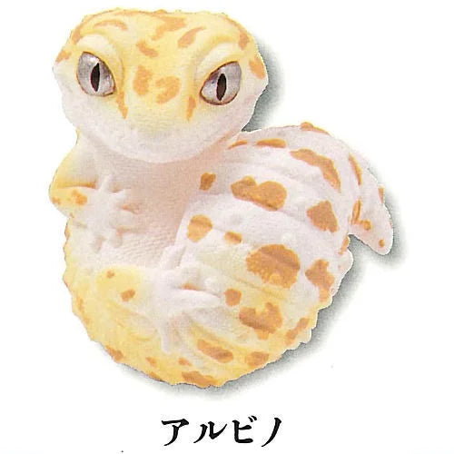 Japan Q Leopard gecko lizard PVC mini Figure model figurine keychain (D)