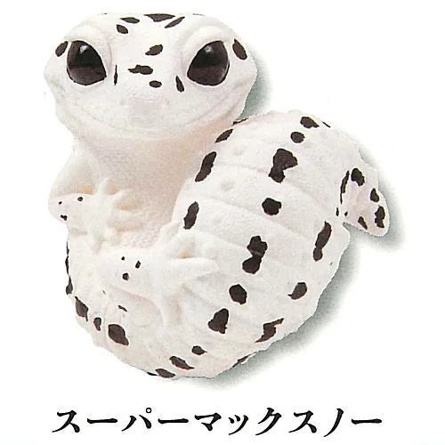Japan Q Leopard gecko lizard PVC mini Figure model figurine keychain (E)