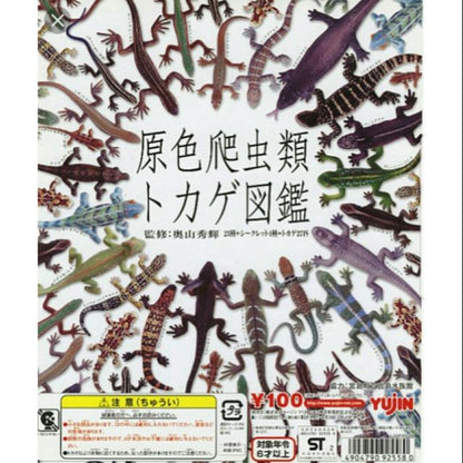 Retired Japan Yujin Lizard of the World PVC mini figure model Set ( 22 pcs included secret item)