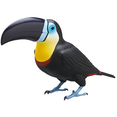 Japan Toucan Bird PVC mini figure model capsule D