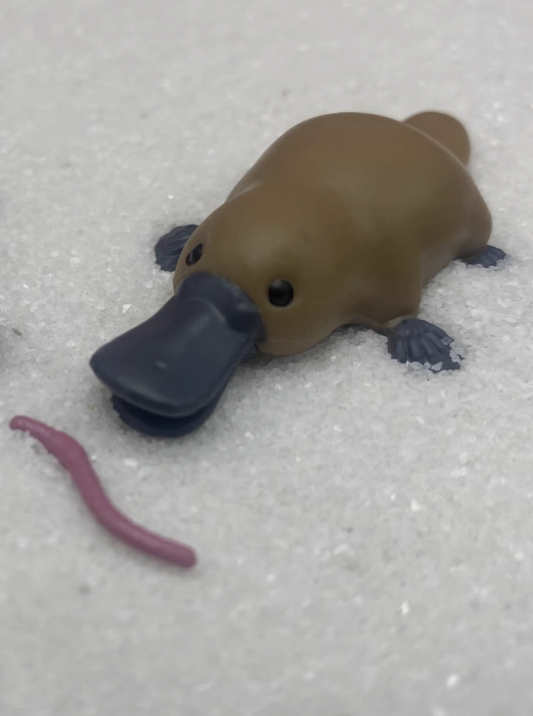 Japan platypus animal PVC mini figure figurine Model B