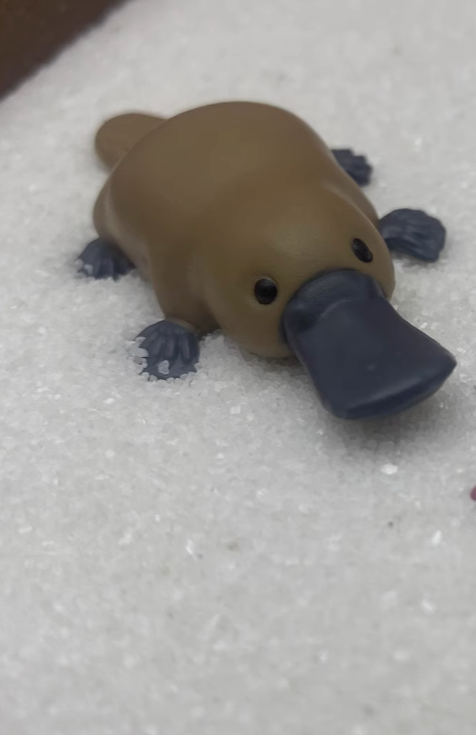 Japan platypus animal PVC mini figure figurine Model D