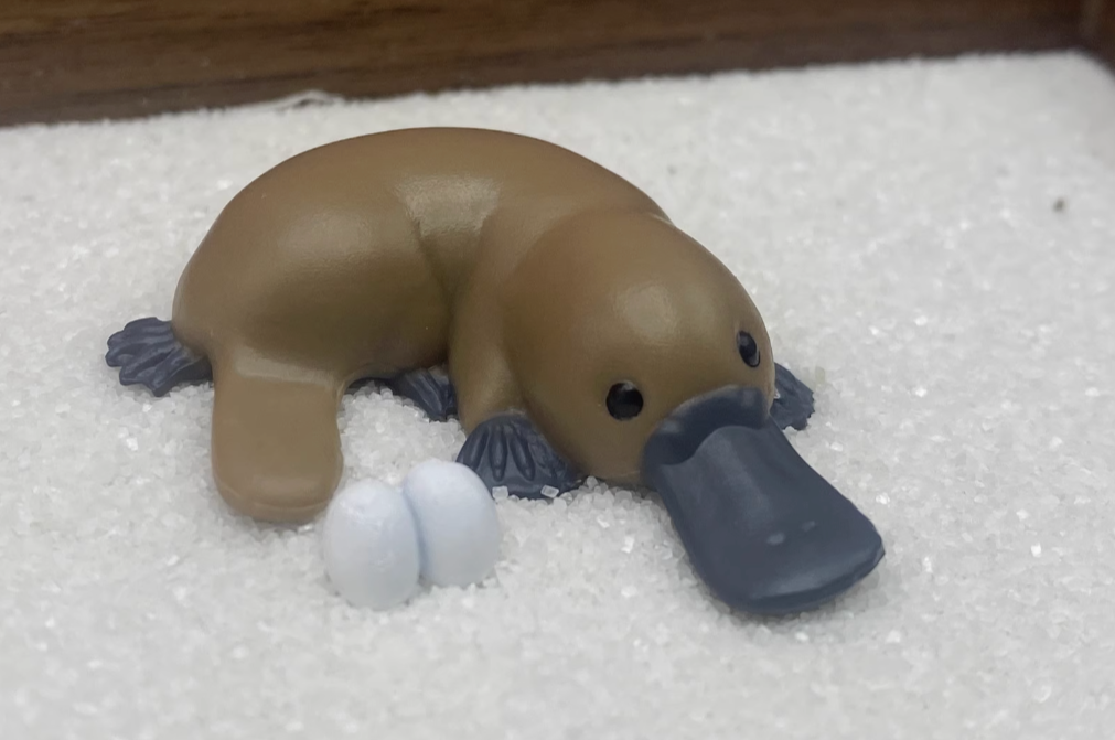 Japan platypus animal PVC mini figure figurine Model A