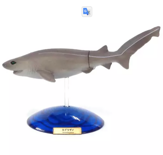 Japan Bluntnose sixgill shark Fish PVC mini figure figurine Model with base