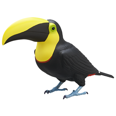Japan Chestnut-mandibled toucan Bird PVC mini figure model capsule C