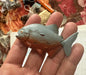 Japan Red-bellied piranha fish PVC mini Figurine action Figure Model A