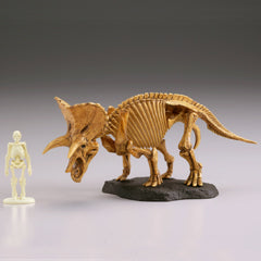Retired Kaiyodo Triceratops Skeleton Dinosaur PVC mini figure model RARE