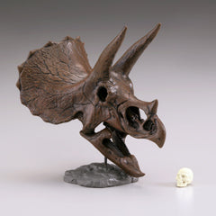Retired Kaiyodo Triceratops Skull Dinosaur PVC mini figure model RARE