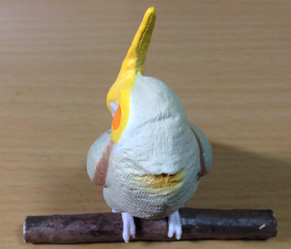 Retired Japan SHINEG Sleeping Brown Cockatoo Parrot Bird PVC mini figure figurine Model
