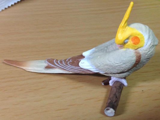 Retired Japan SHINEG Sleeping Brown Cockatoo Parrot Bird PVC mini figure figurine Model