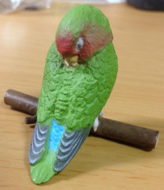 Retired Japan SHINEG Sleeping Love Bird Parrot Bird PVC mini figure figurine Model A