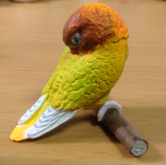 Retired Japan SHINEG Sleeping Love Bird Parrot Bird PVC mini figure figurine Model B