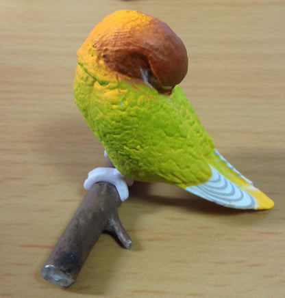 Retired Japan SHINEG Sleeping Love Bird Parrot Bird PVC mini figure figurine Model B