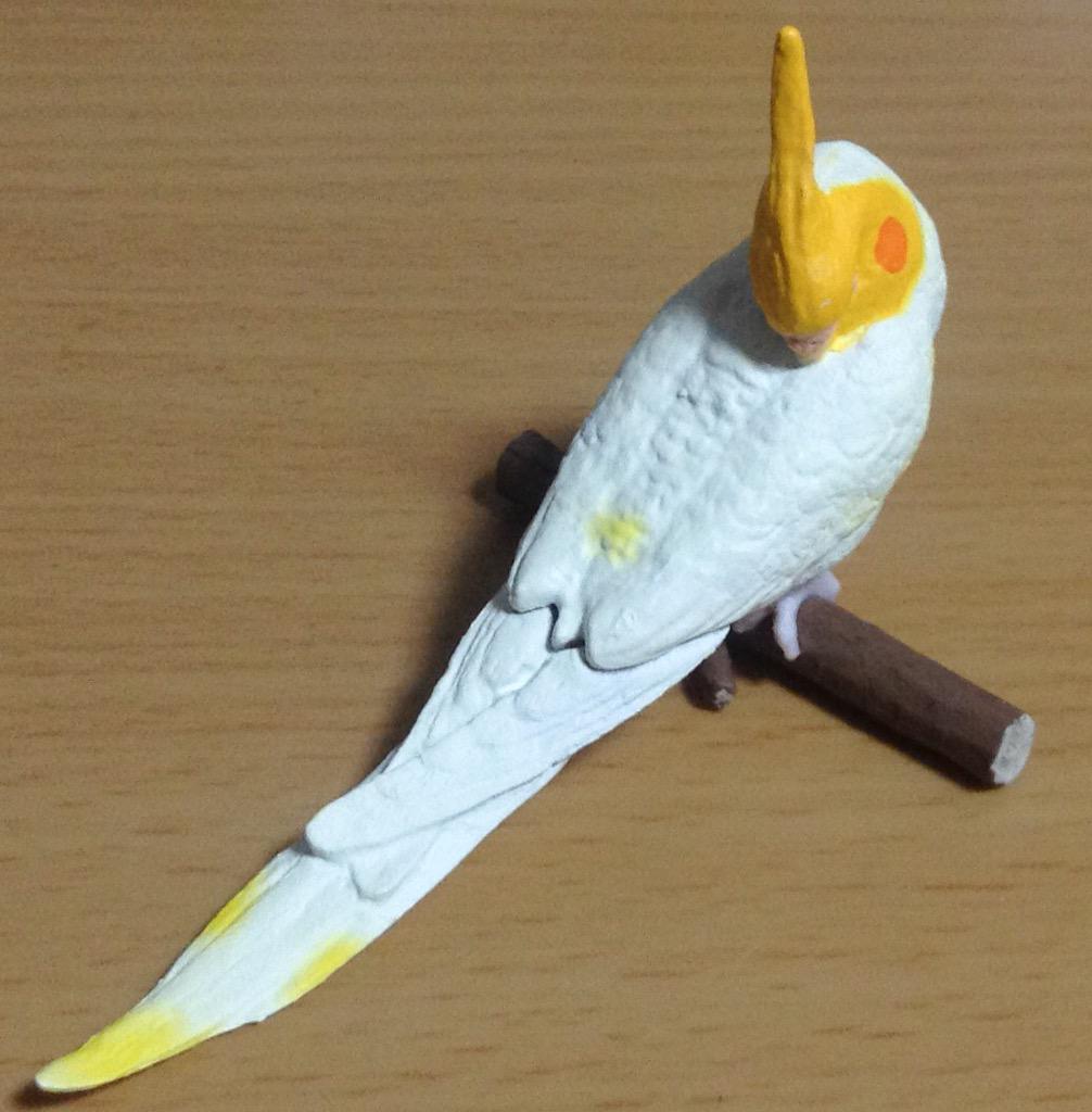 Retired Japan SHINEG Sleeping White Cockatoo Parrot Bird PVC mini figure figurine Model