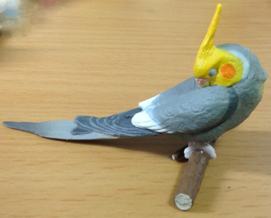 Retired Japan SHINEG Sleeping Grey Cockatoo Parrot Bird PVC mini figure figurine Model