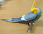 Retired Japan SHINEG Sleeping Grey Cockatoo Parrot Bird PVC mini figure figurine Model