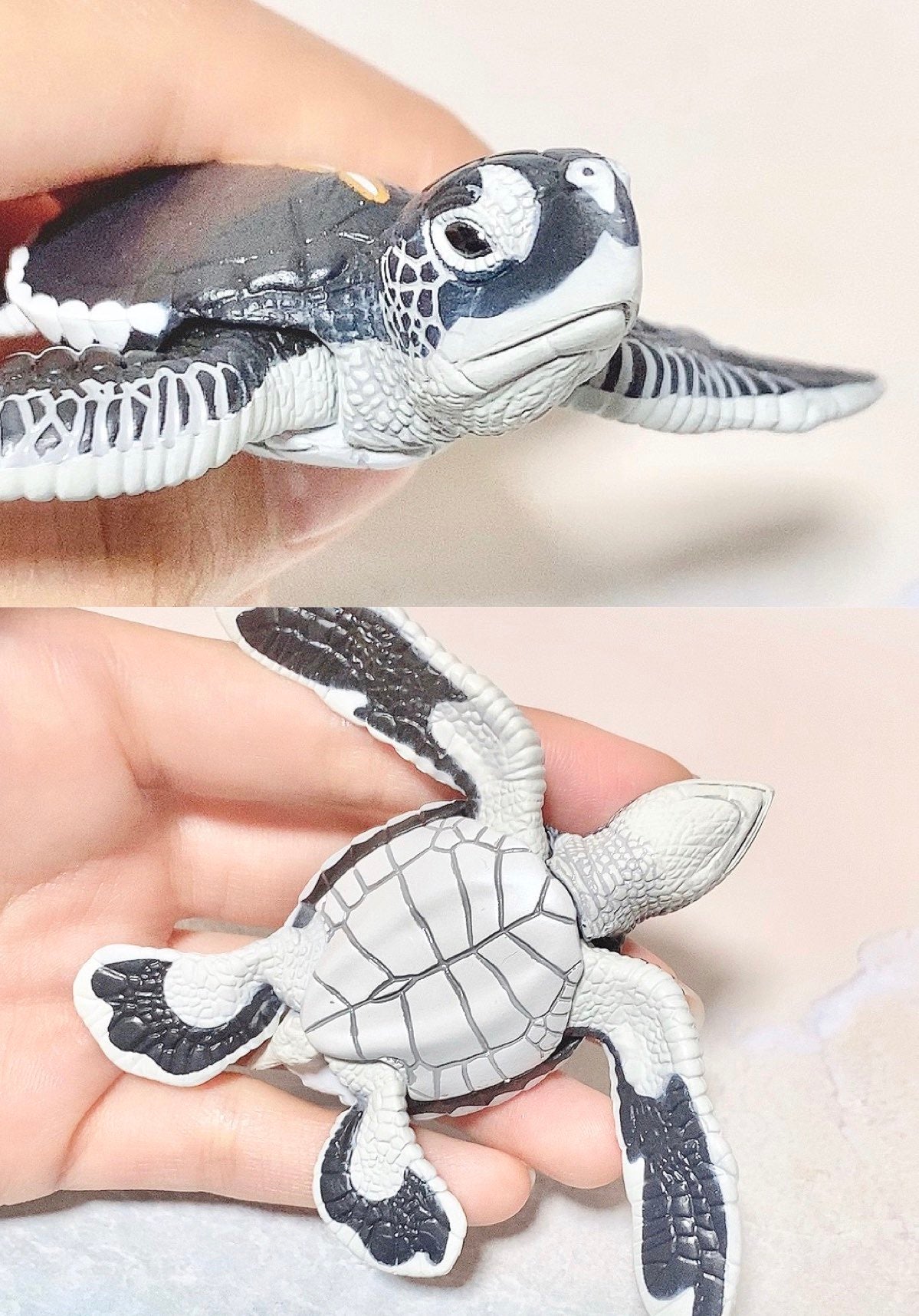 Ogasawara Marine Center exclusive Green Sea Turtle Baby PVC Model Figure Figurine, rare item