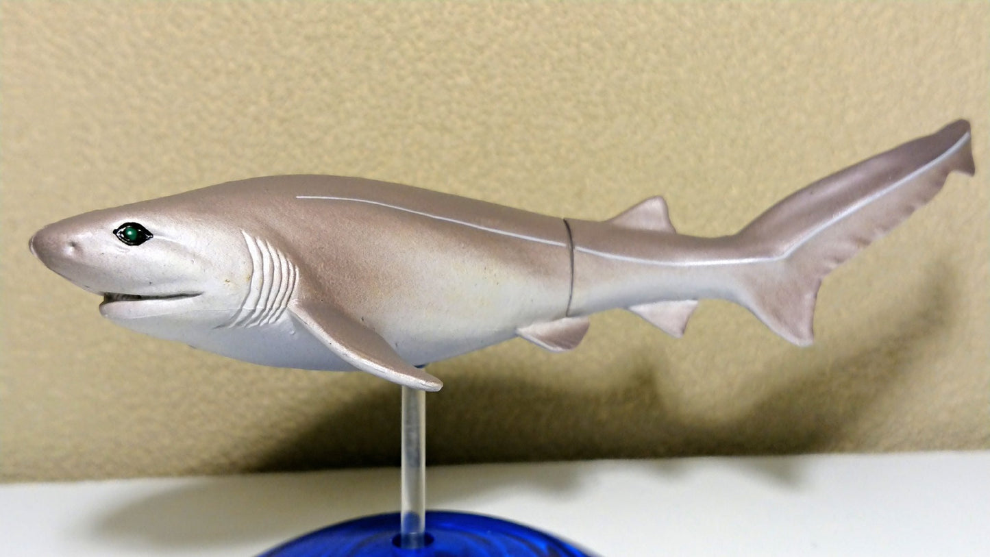 Japan Bluntnose sixgill shark Fish PVC mini figure figurine Model with base