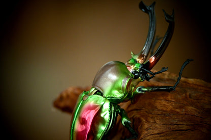 Phalacrognathus muelleri rainbow stag beetle PVC Action Figure model with joints