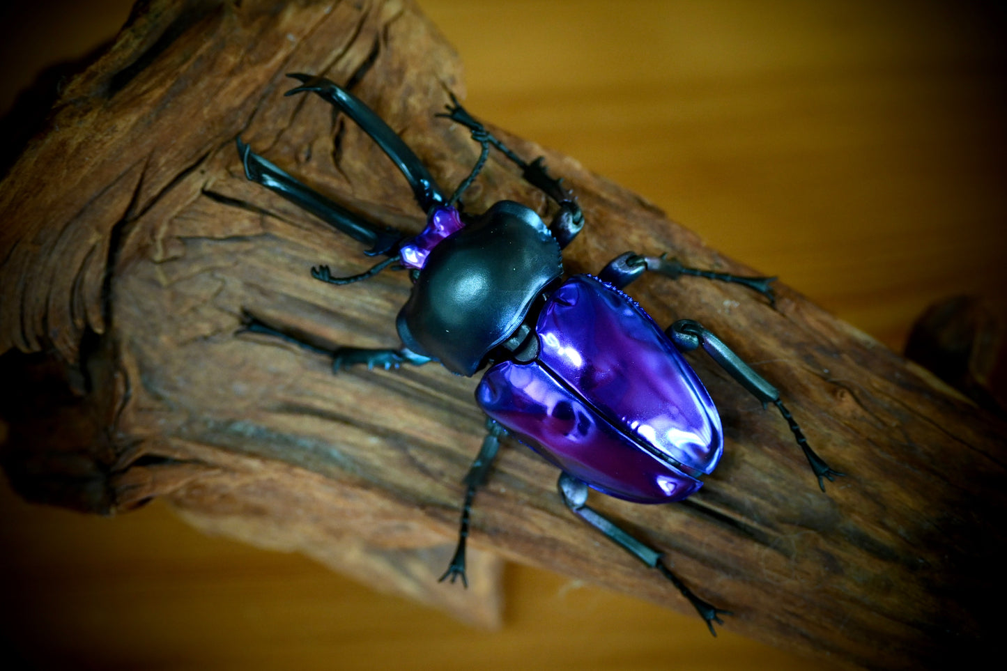 Phalacrognathus muelleri rainbow stag beetle (Blue Purple) PVC Action Figure model with joints