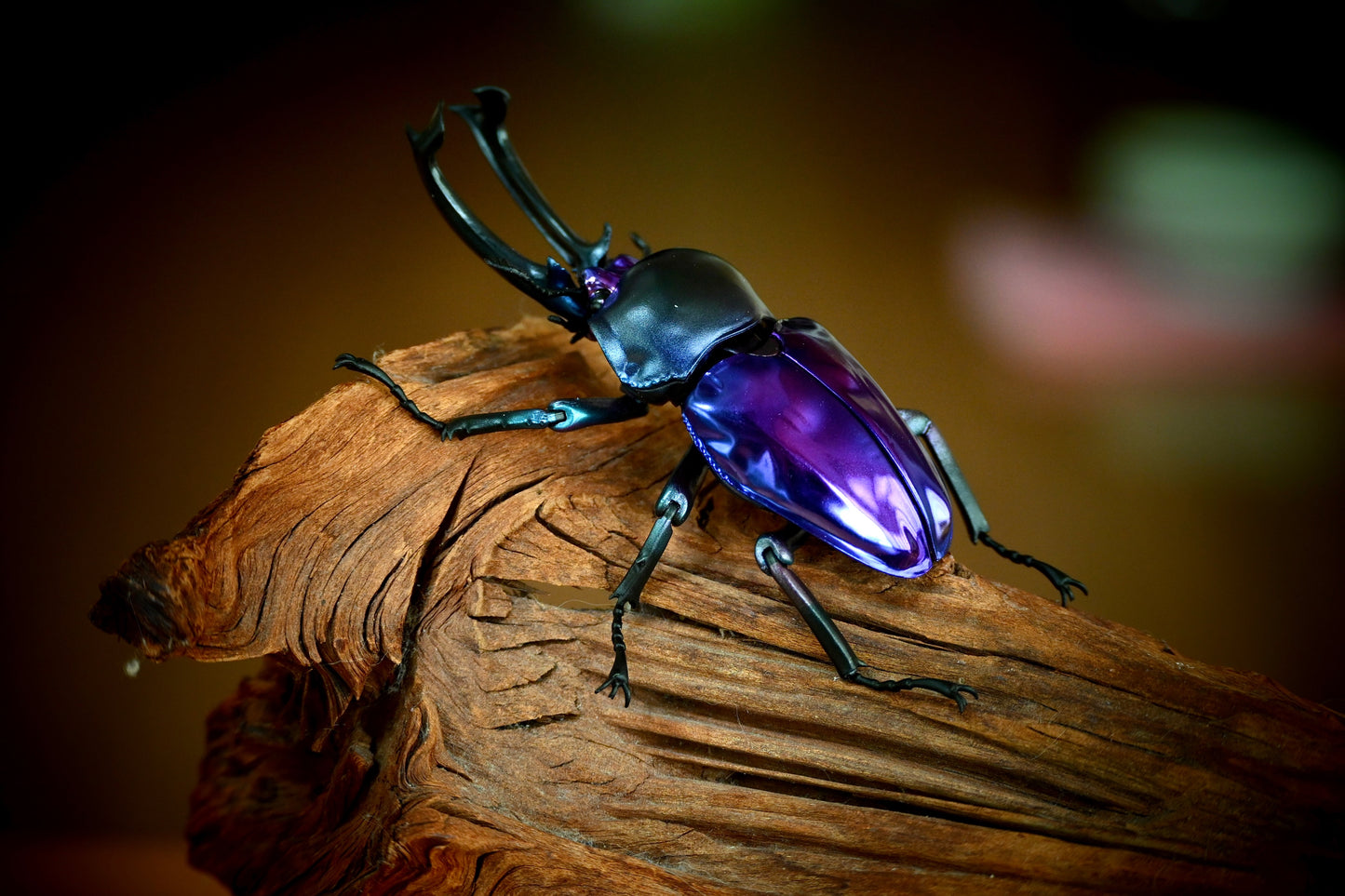 Phalacrognathus muelleri rainbow stag beetle (Blue Purple) PVC Action Figure model with joints