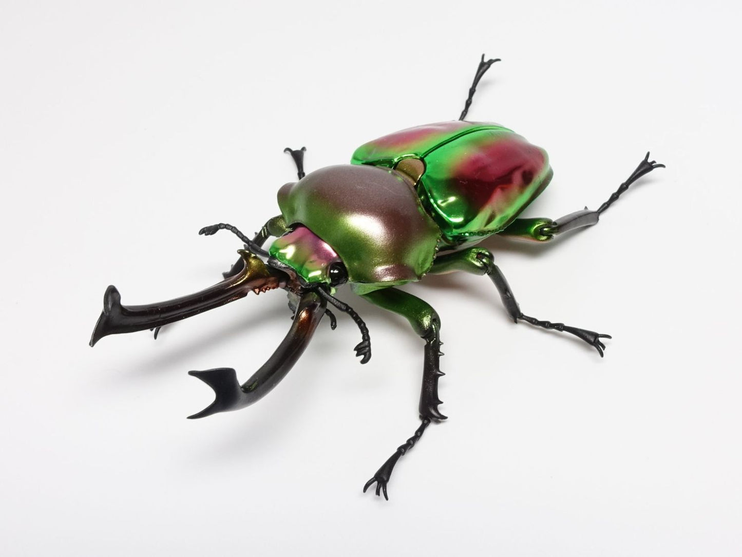 Phalacrognathus muelleri rainbow stag beetle PVC Action Figure model with joints