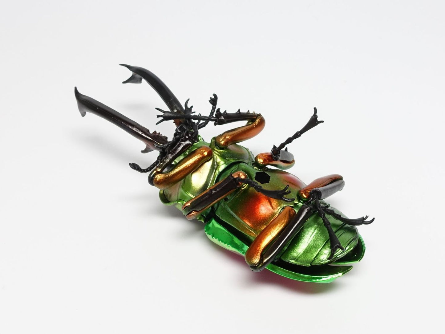 Phalacrognathus muelleri rainbow stag beetle PVC Action Figure model with joints